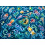 Puzzle Specii marine colorate 500 piese