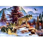 Puzzle Bluebird A New Dawn 1000 piese
