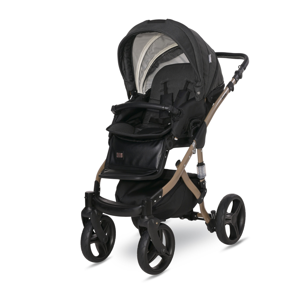 Carucior 2 In 1 Rimini Premium Black