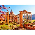 Puzzle 1000 piese Bluebird Roman Ruins in Spring Italy Bluebird-Puzzle