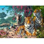 Puzzle Castorland The Tiger Sanctuary 3000 piese