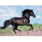 Puzzle Ravensburger Black Horse 200 piese XXL