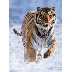 Puzzle Ravensburger Tiger in the Snow 500 piese