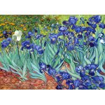 Puzzle TinyPuzzle Vincent Van Gogh Irises 99 piese