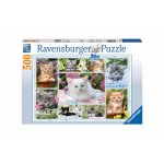 Puzzle Ravensburger Kittens in their baskets 500 piese