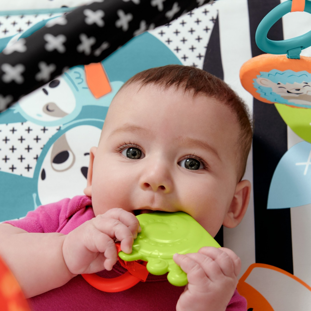 Saltea muzicala 3 in 1 cu centru de activitati Fisher Price - 3