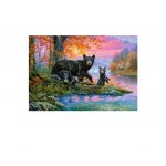 Puzzle Castorland Fishing Spot 1000 piese