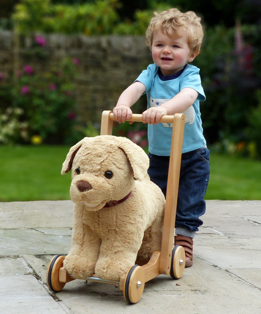 Jucarie Ride on toy caine pufos Golden Labrador pentru copii Little Bird Told Me - 4