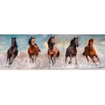 Puzzle 1000 piese panoramic Clementoni Horses