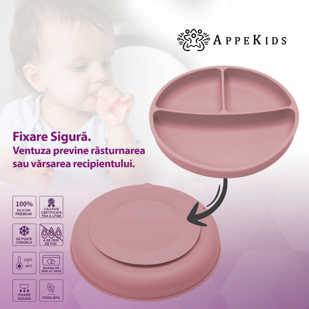 Set diversificare AppeKids din silicon 5 piese Classic Old Rose - 2 | YEO