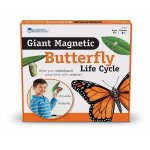Ciclul vietii fluturelui set magnetic