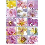 Puzzle Educa Flower Collage 1500 piese