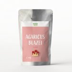 Agaricus Blazei pudra Green Bliss 60g