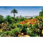 Puzzle gradina botanica Madeira 1000 piese
