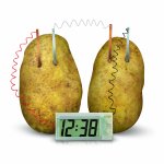 Kit stiintific ceas din cartof Green Science