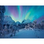 Puzzle Ravensburger spectacol arctic 1500 piese