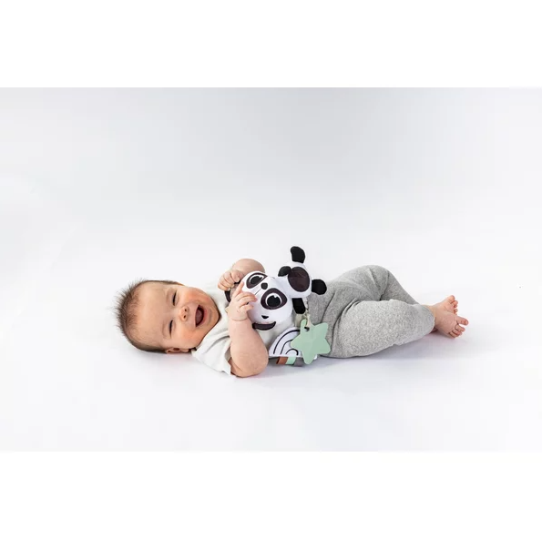 Jucarie Carucior Tiny Love Elizabeth The Panda - 2 | YEO