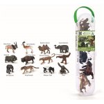 Cutie cu 12 minifigurine pictate manual Animale Salbatice