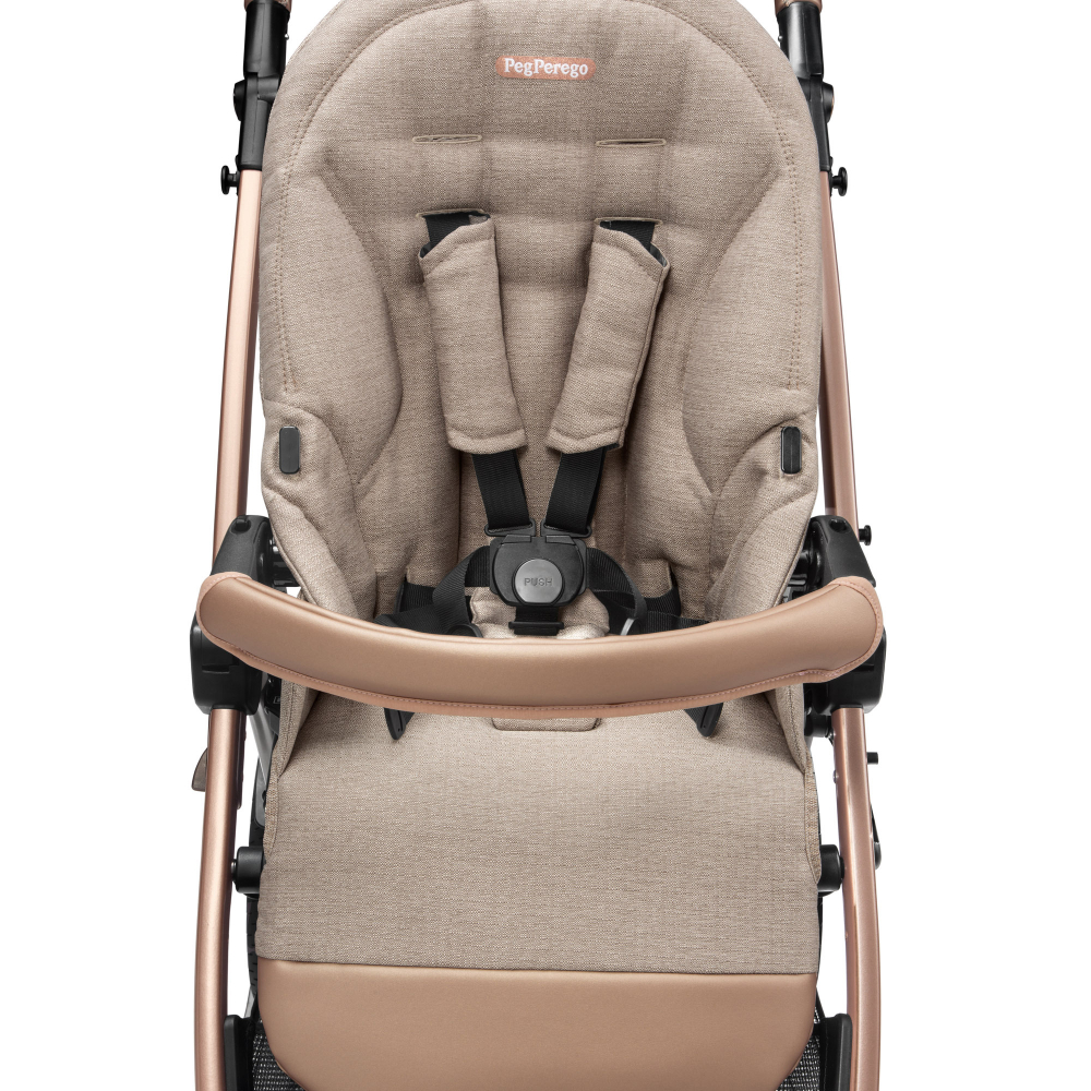 Carucior 2 in 1 Peg Perego Book Mon Amour - 2