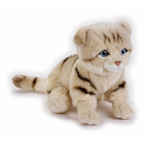 Jucarie plus Pisica Scottish Fold 25 cm