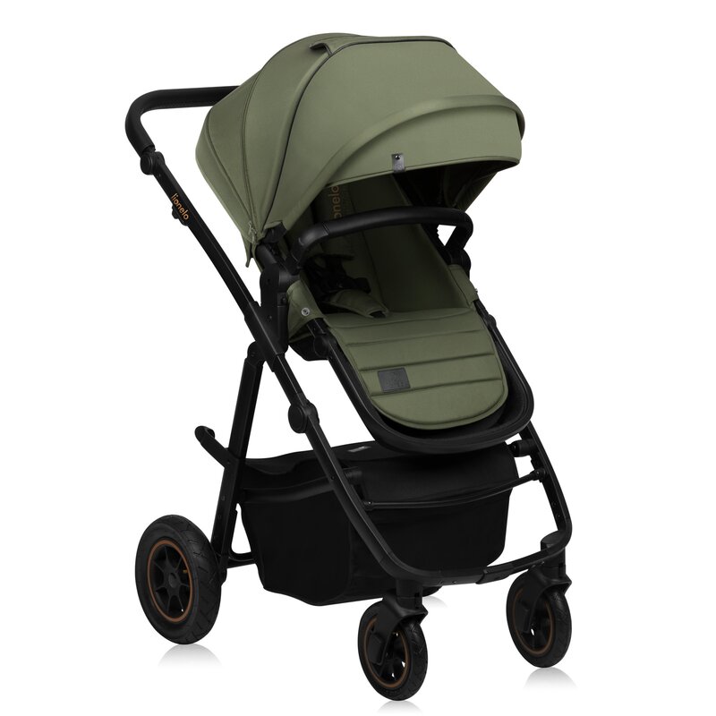 Carucior 2 in 1 Lionelo reversibil Amber Plus verde - 1