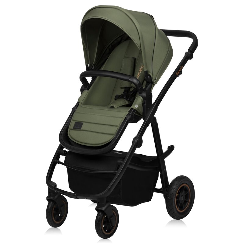 Carucior 2 in 1 Lionelo reversibil Amber Plus verde - 2