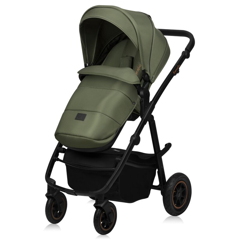 Carucior 2 in 1 Lionelo reversibil Amber Plus verde - 3