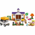Concertul de la Plaza Lego Animal Crossing