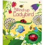 Carte pentru copii Usborne Wind-up Ladybird cu sine si jucarie