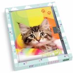 Jurnal Puppy in cutie cadou 80 de pagini 13x18 cm