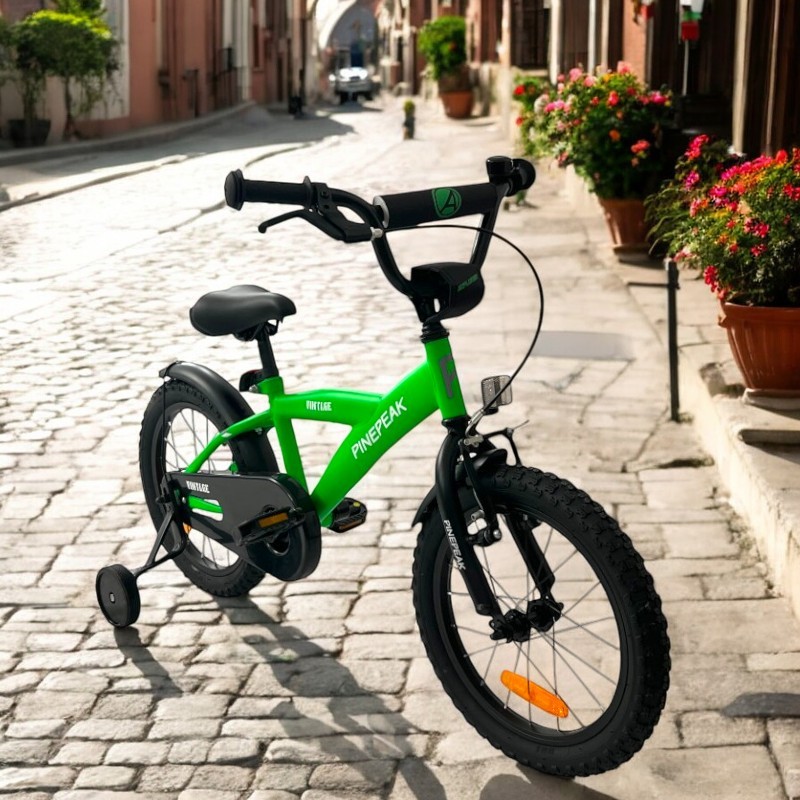 Bicicleta pentru copii Procart Verde 16 inch, roti ajutatoare, v-brake, scaun ajustabil, cadru otel, jante aluminiu, aparatoare lantnoroi - 1 | YEO