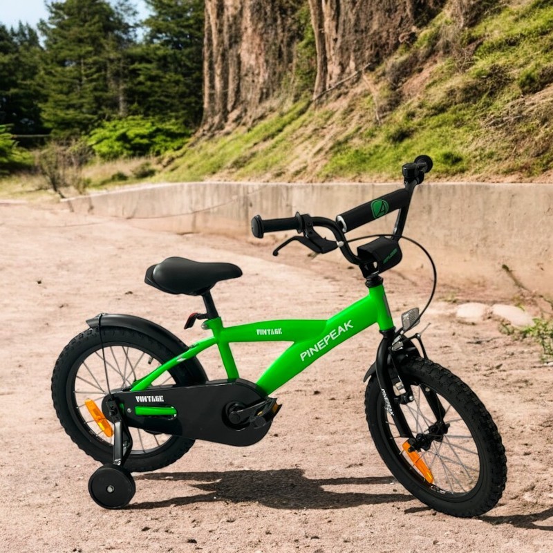 Bicicleta pentru copii Procart Verde 16 inch, roti ajutatoare, v-brake, scaun ajustabil, cadru otel, jante aluminiu, aparatoare lantnoroi - 5