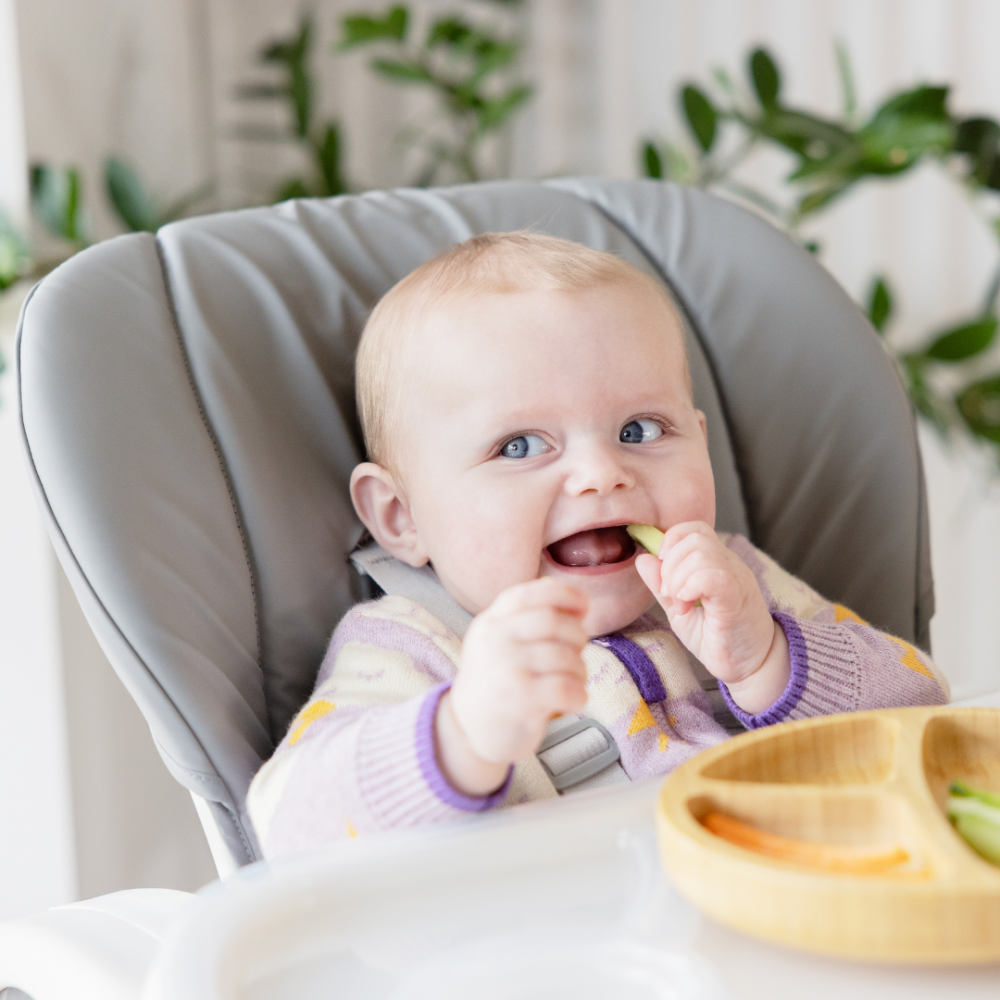 Scaun de masa pentru copii Joie Mimzy Recline ABC Charcoal, spatar reglabil in 5 pozitii, inaltime ajustabila si tavita reglabiladetasabila, centuri, greutate suportata 15 kg