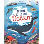 Carte pentru copii Usborne Lift-the-flap Looking After Our Ocean cu clapete