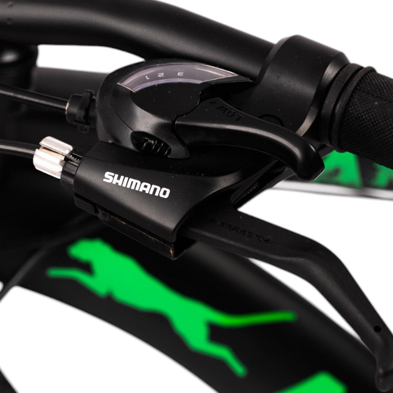 Bicicleta panther 29 inch, frane pe disc, 21 viteze, cadru otel, negru-verde