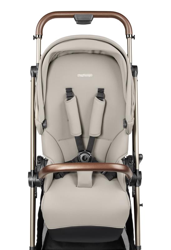Carucior Peg Perego Vivace 0-22 kg Astral - 2