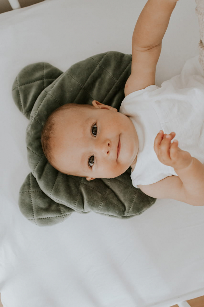 Perna ursulet Royal Baby Verde Sleepee - 1 | YEO