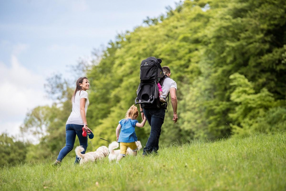 Rucsac pentru Transportul Copiilor Voyager S5