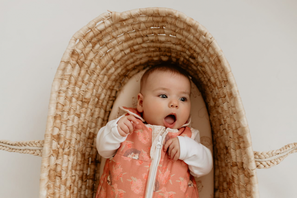 Sac de dormit din bumbac 0-4 luni Newborn Animale de Epoca Arici Sleepee 2,5 tog - 1