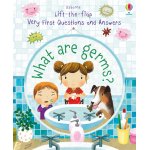 Carte pentru copii Usborne What are Germs cu clapete