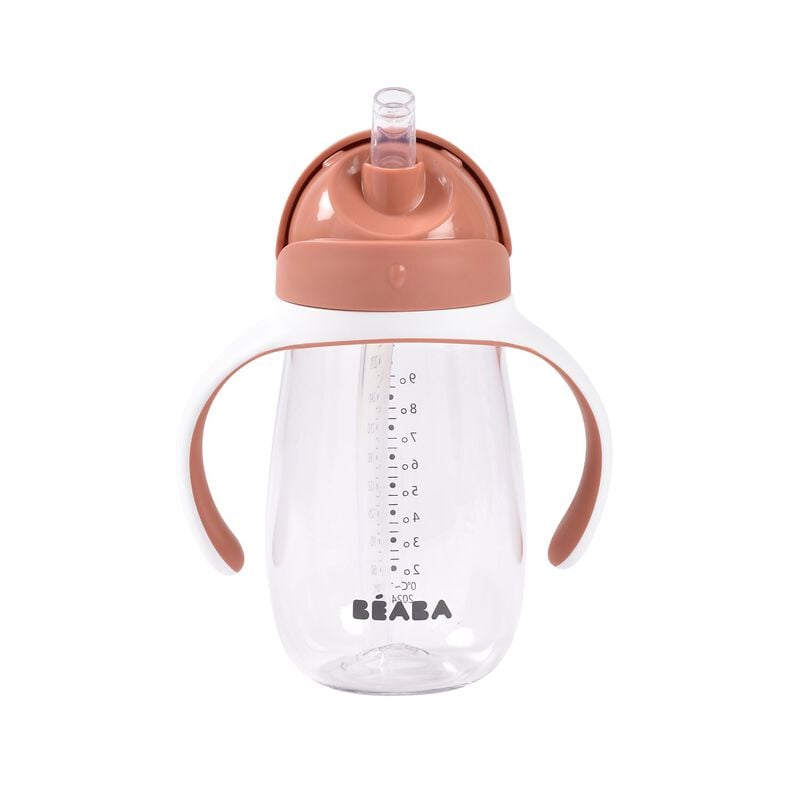 Cana cu pai din Tritan Beaba Terracotta 300 ml