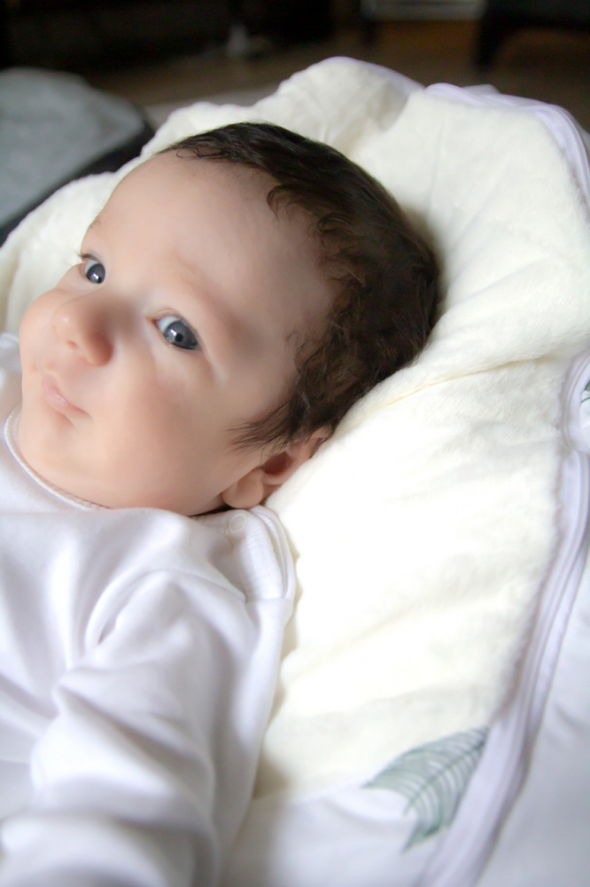 Fotoliu pentru bebelusi cu ham de siguranta BabyJem Mint - 2 | YEO
