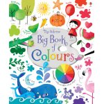 Carte pentru copii Usborne Big Book of Colours