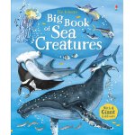 Carte pentru copii Usborne Big Book of Sea Creatures