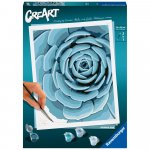 Pictura pe numere CreArt planta suculenta albastra