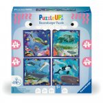 Puzzle Up Ravensburger animale marine 4 puzzle 64, 72, 81, 90 piese