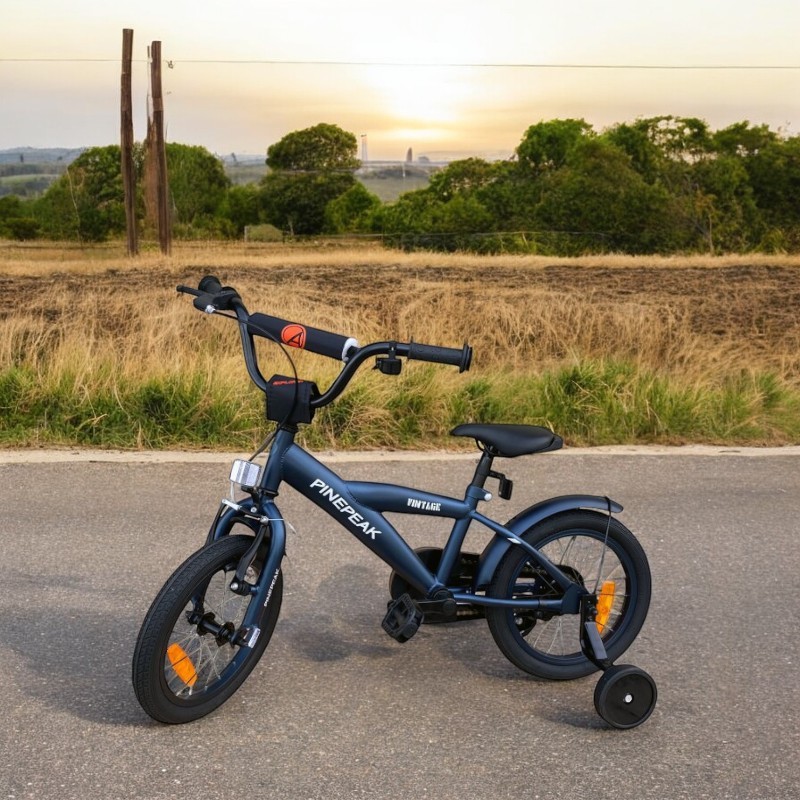 Bicicleta pentru copii Procart Albastru 14 inch, v-brake, roti ajutatoare, manere cauciucate, jante aluminiu, cadru otel, varsta 3-5 ani - 1