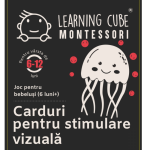 Carduri pentru stimulare vizuala tricolore 6-12 luni