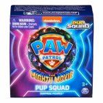 Figurina surpriza Patrula Catelusilor Pup Squad