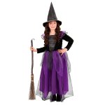 Costum Vrajitoare Magica Mov 4-5 ani / 116 cm
